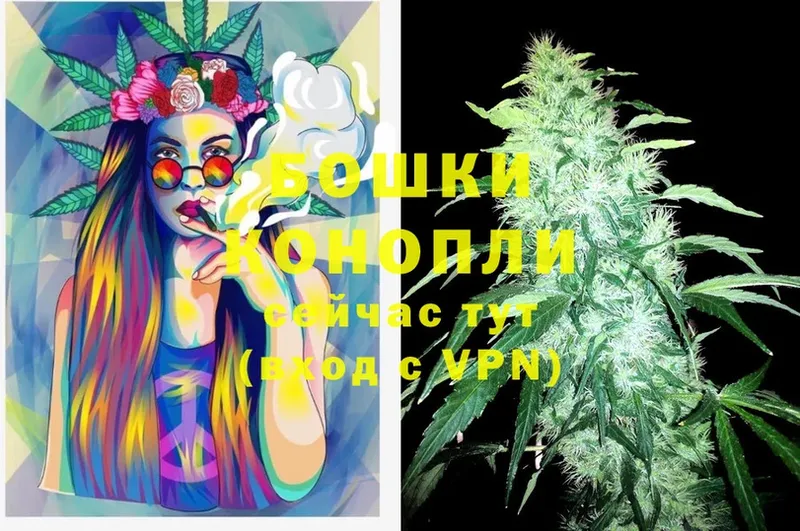 Конопля Ganja  Бабаево 